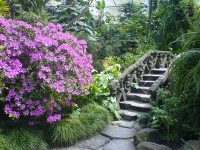 Cold Greenhouse - Estufa Fria